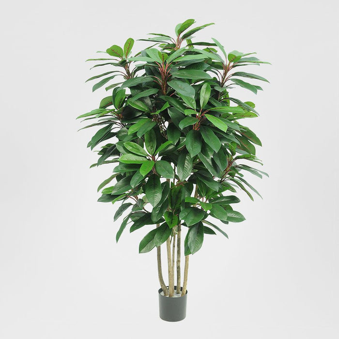 Schefflera Tree With 450 Leaves Green and Red 120cm