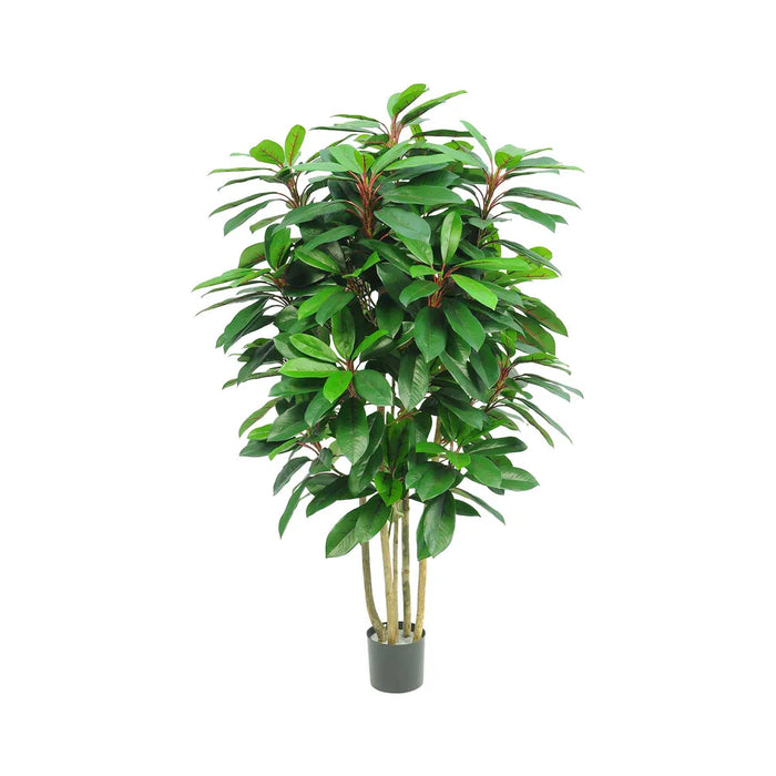 Schefflera Tree With 450 Leaves Green and Red 120cm