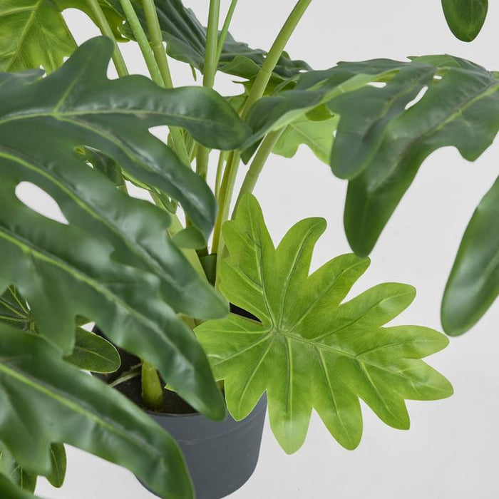 Split Philo Plant 110cm