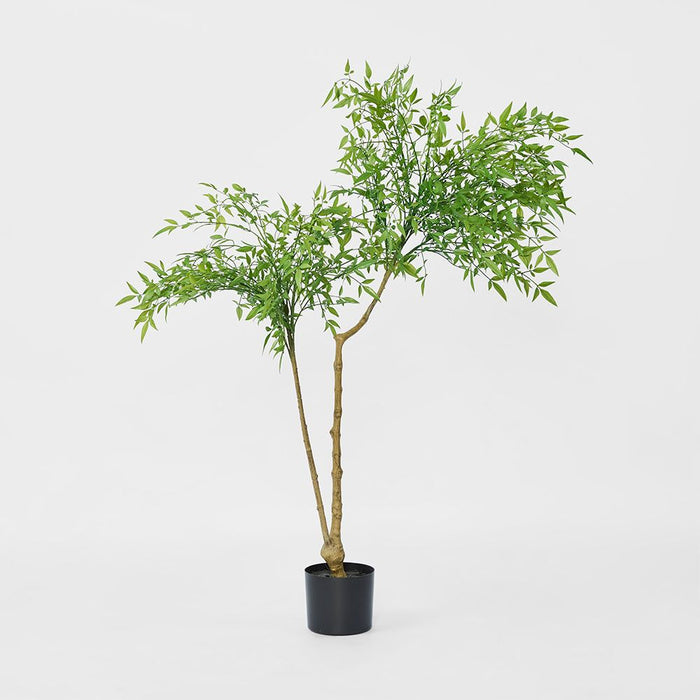 Nandina Green Tree 120cm