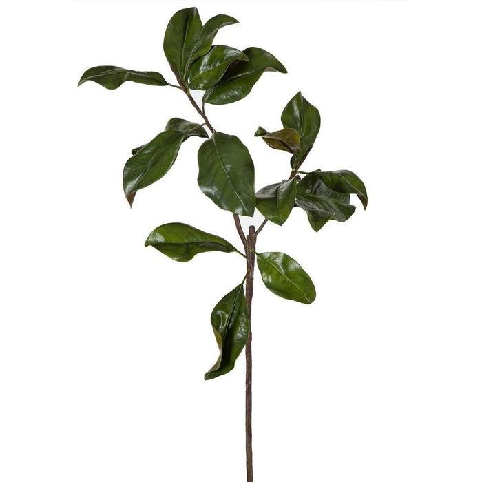 Magnolia Leaves Green 90cm Pack of 6