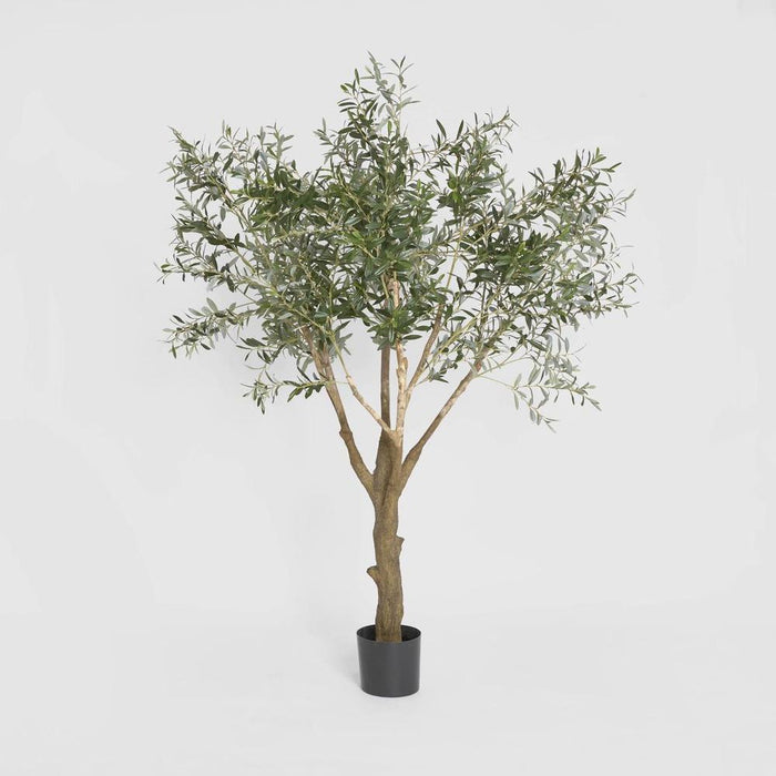 Giant Olive Green Tree 135cm