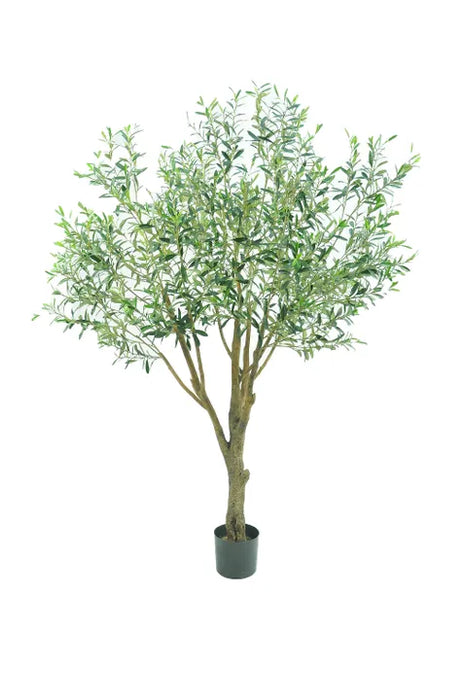 Giant Olive Green Tree 135cm