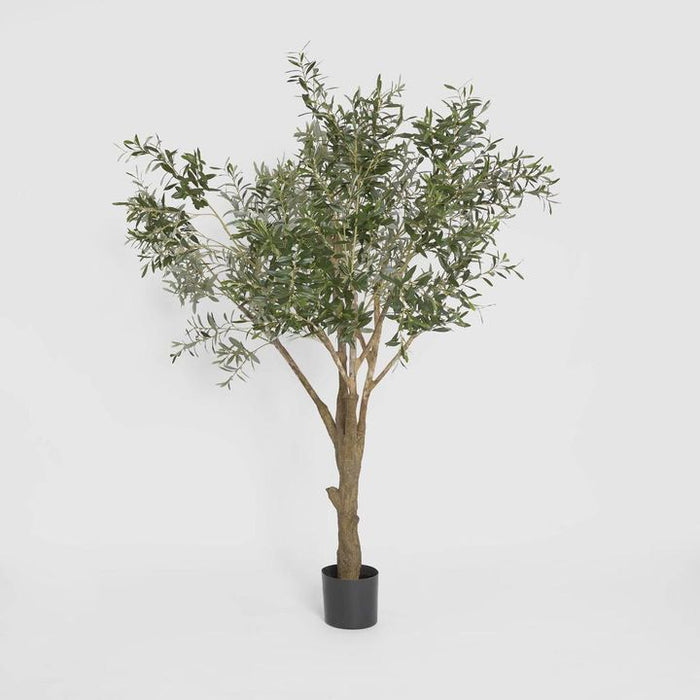 Giant Olive Green Tree 135cm