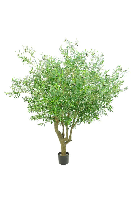 Giant Olive Green Tree With Fruit 153cm