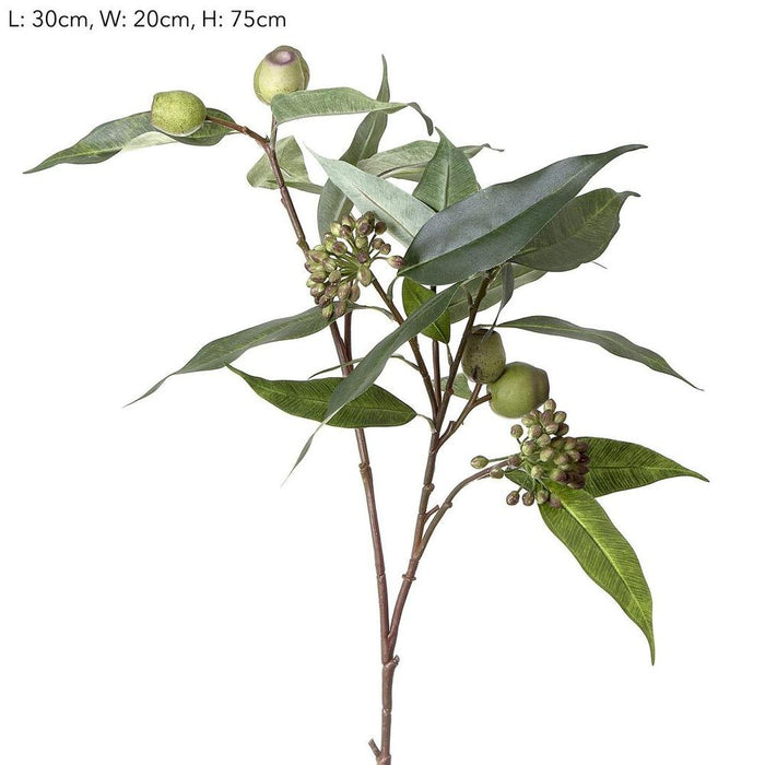 Gumnut Eucalyptus Seed Spray 75cm Green Pack of 12