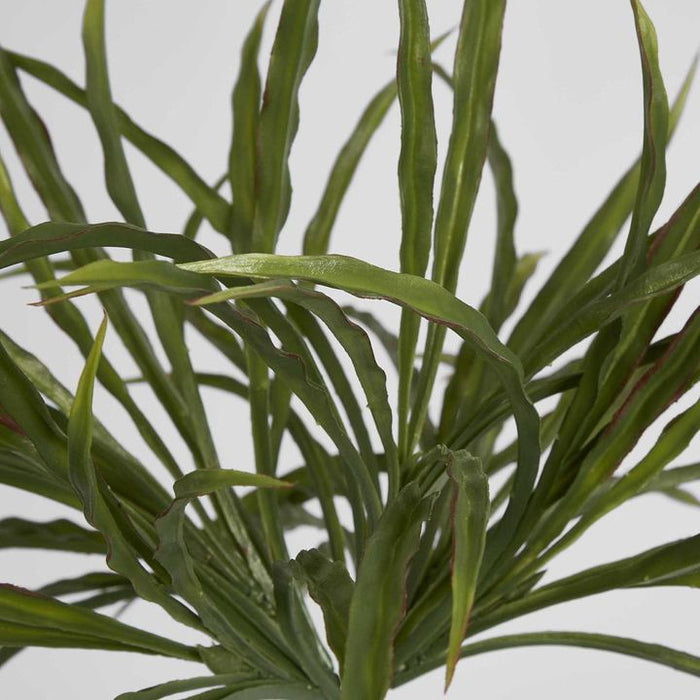Vanilla Grass Bush Green 98cm - Pack of 12