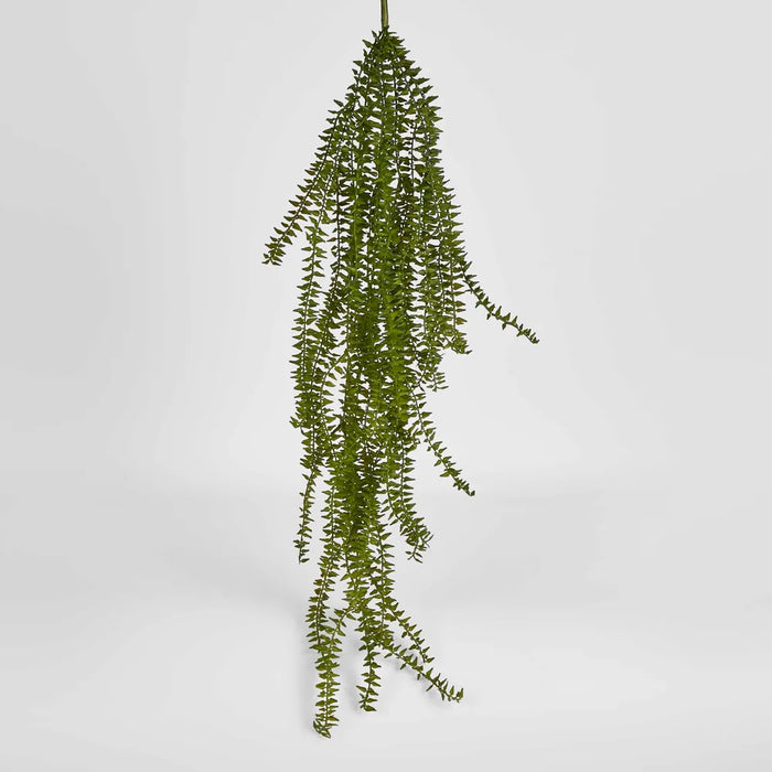 Clubmoss Hanging Vine Green 1cm  - Pack of 12