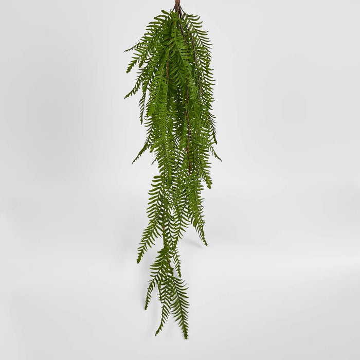 Sword Fern Hanging Bush Green 1cm  - Pack of 6