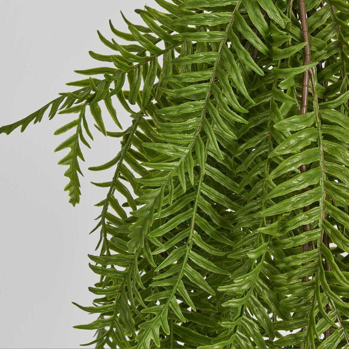 Sword Fern Hanging Bush Green 1cm  - Pack of 6