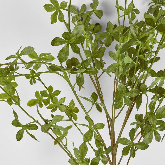 Ekianthus Green Leaf Spray 122cm - Pack of 6