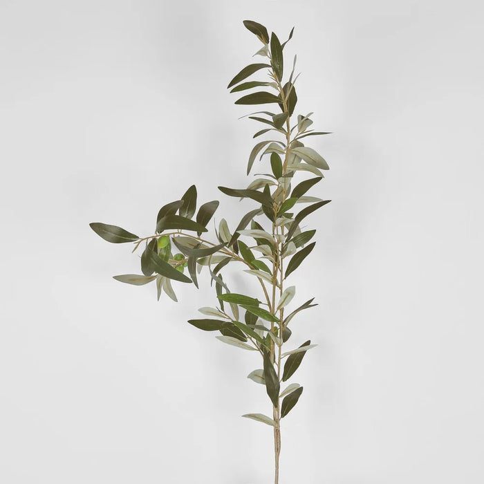 Olive Branch Green 115cm - Pack of 6
