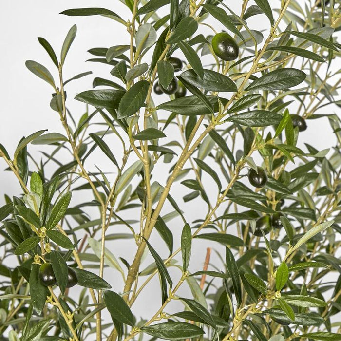 Olive Green Tree 225cm