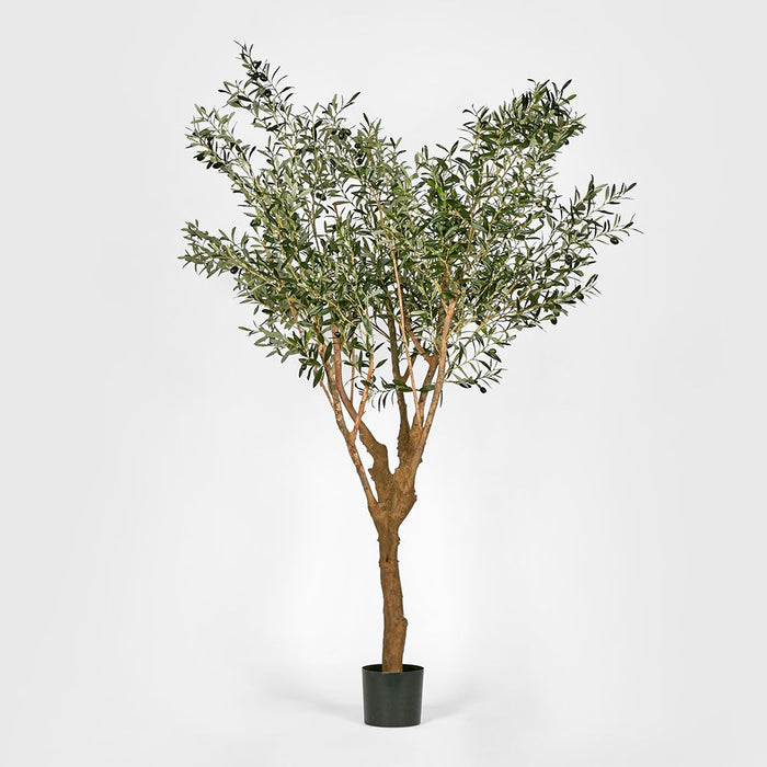 Olive Green Tree 225cm