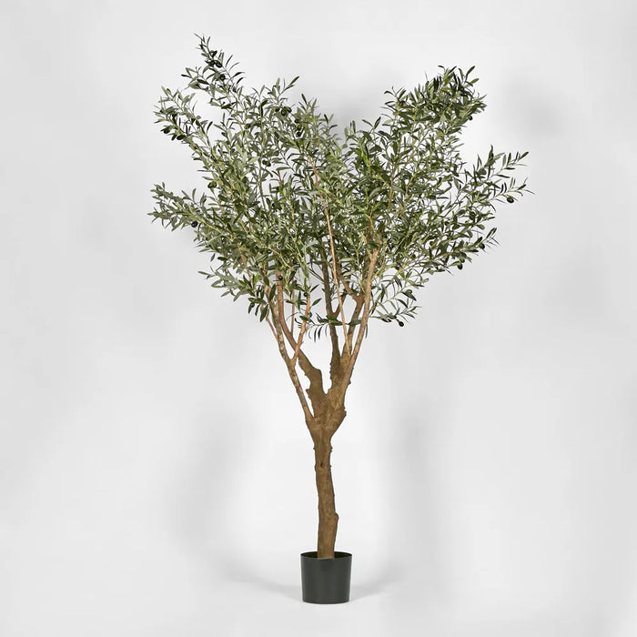 Olive Green Tree 225cm