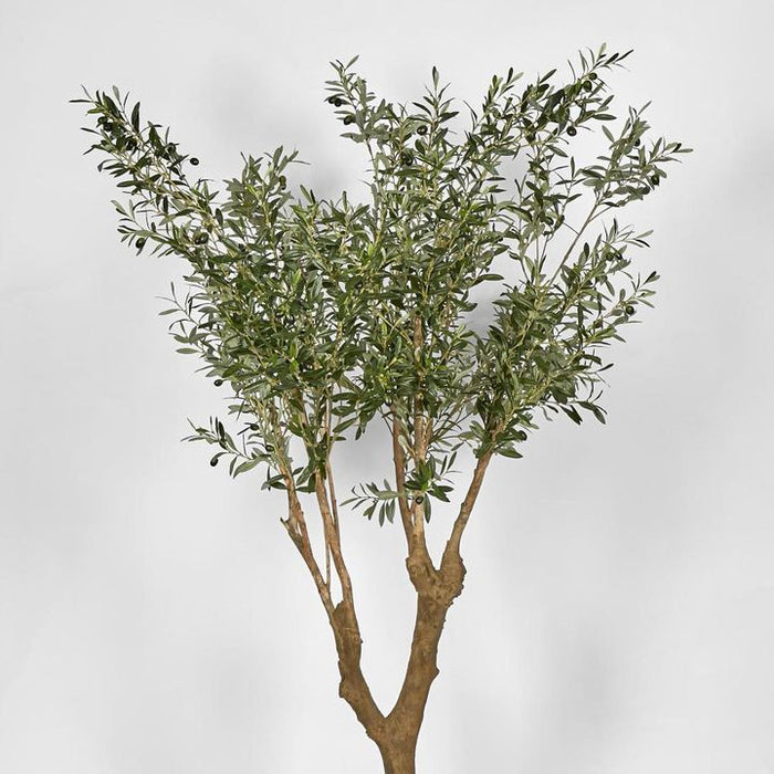 Olive Green Tree 225cm
