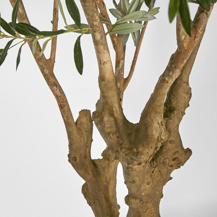 Olive Green Tree 225cm