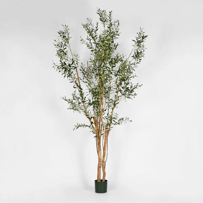 Olive Green Multi Stem Tree 280cm