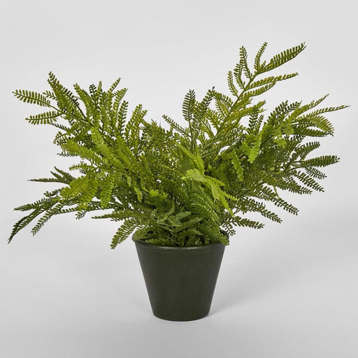 Soft Touch Fern in Black Pot 135cm Green - Pack of 4