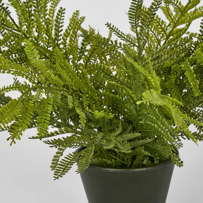 Soft Touch Fern in Black Pot 135cm Green - Pack of 4