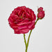 Real Touch Angelina Rose Spray Dark Pink 59cm - Pack of 8