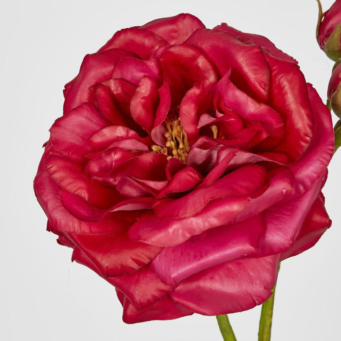 Real Touch Angelina Rose Spray Dark Pink 59cm - Pack of 8