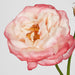 Real Touch Angelina Rose Spray Pink 59cm - Pack of 8