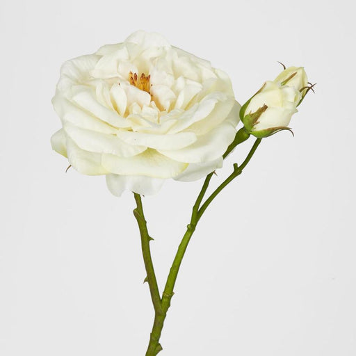 Real Touch Angelina Rose Spray White 59cm - Pack of 8