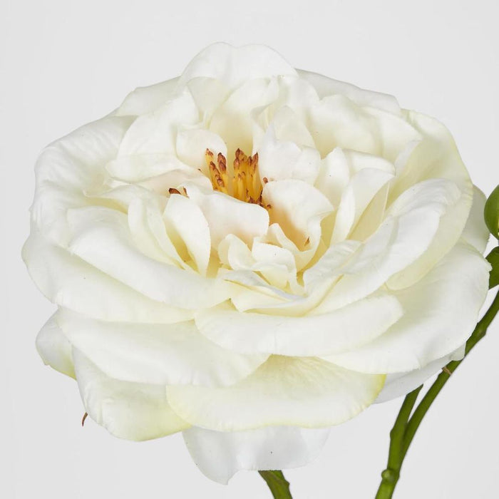 Real Touch Angelina Rose Spray White 59cm - Pack of 8