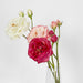 Real Touch Angelina Rose Spray White 59cm - Pack of 8