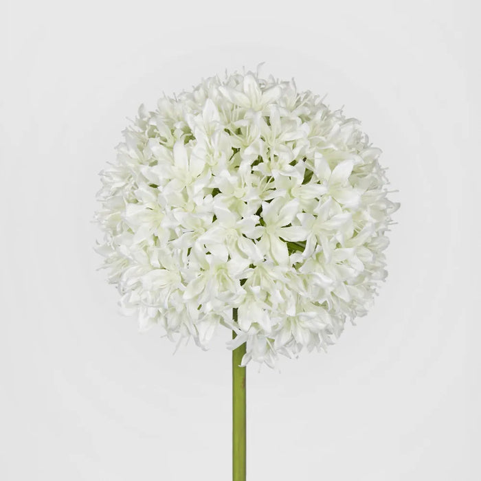 Allium White Flower 89cm - Pack of 8