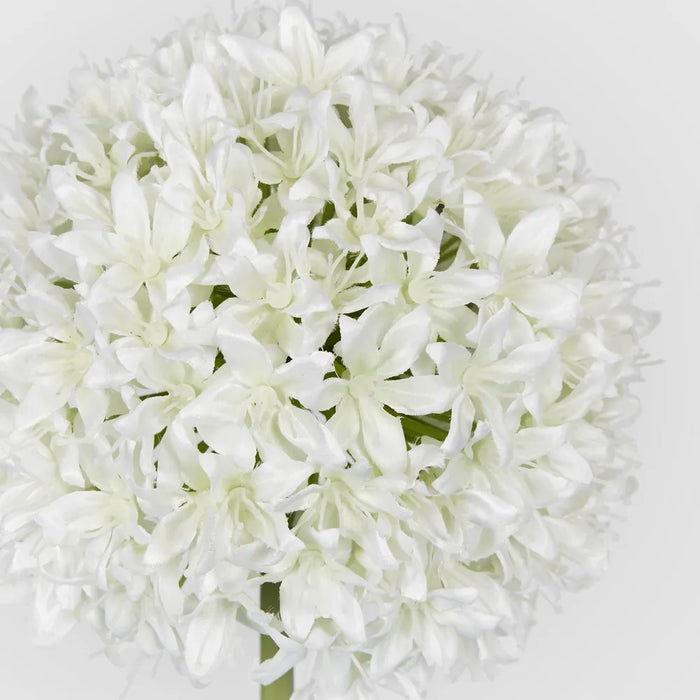 Allium White Flower 89cm - Pack of 8