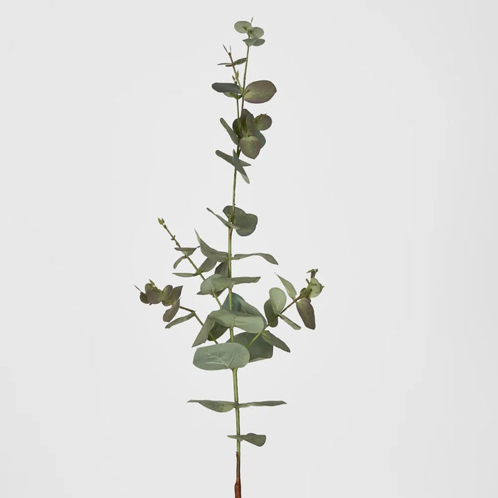 Eucalyptus Dark Green Spray 71cm - Pack of 12