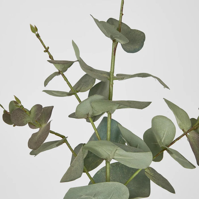 Eucalyptus Dark Green Spray 71cm - Pack of 12