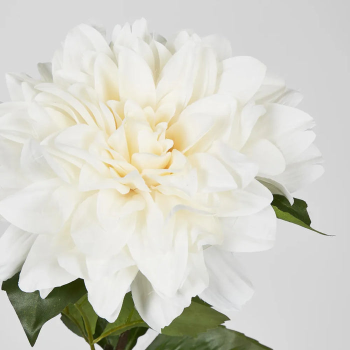 Giant Dahlia White Stem 57cm - Pack of 8