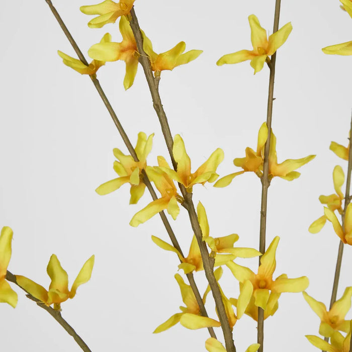 Forsythia Yellow Spray 118cm - Pack of 12