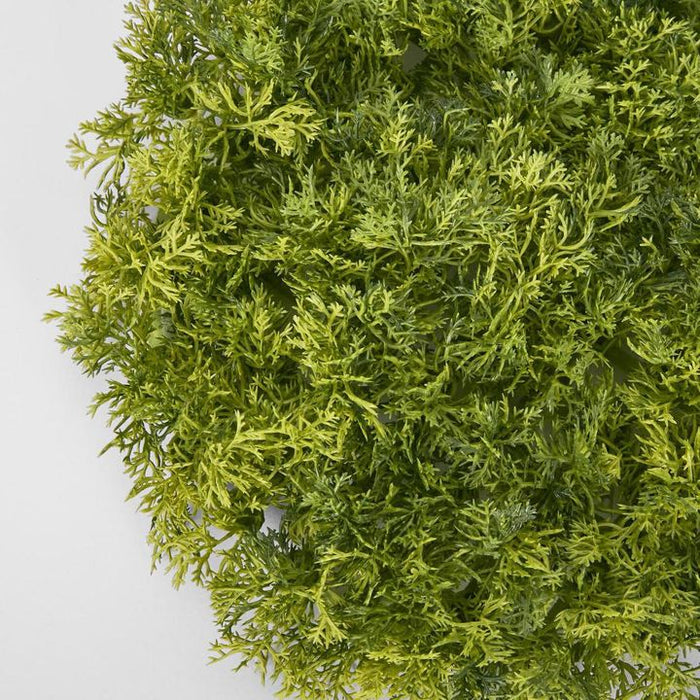 Moss Matt Small Round Green - Pack of 6