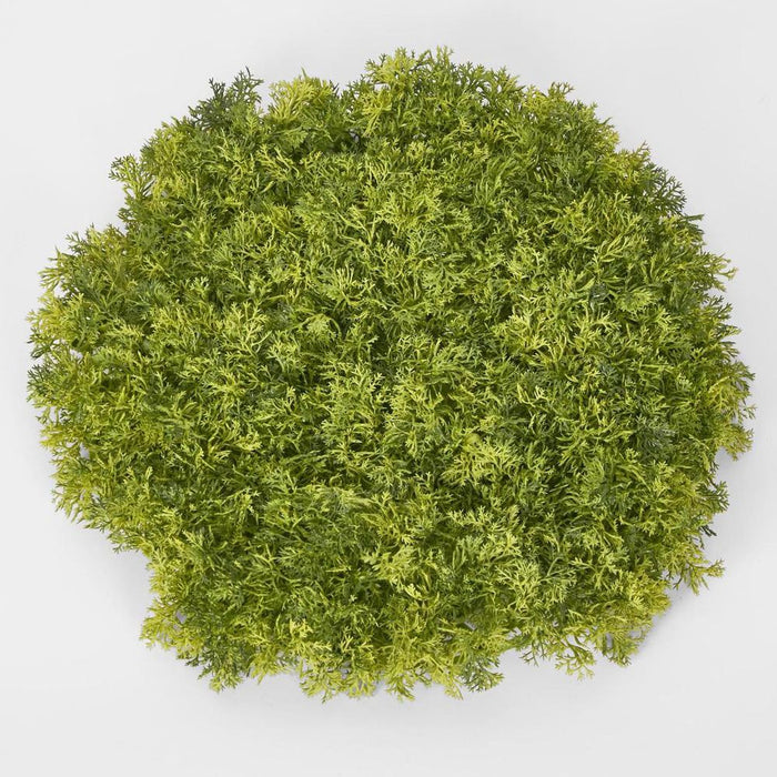 Moss Matt Large Round Green - Pack of 6