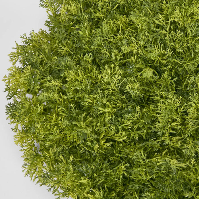 Moss Matt Large Round Green - Pack of 6