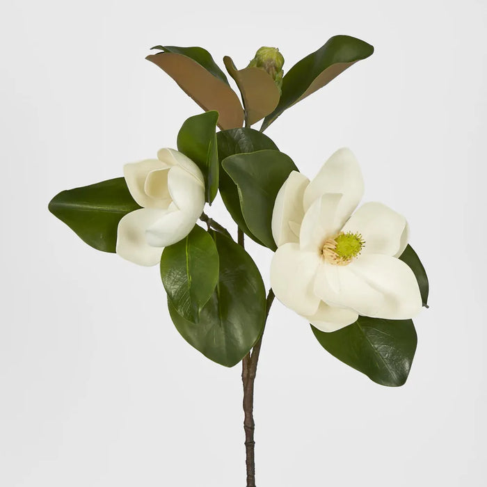 Double Head White Magnolia With Bud - Pack of 12