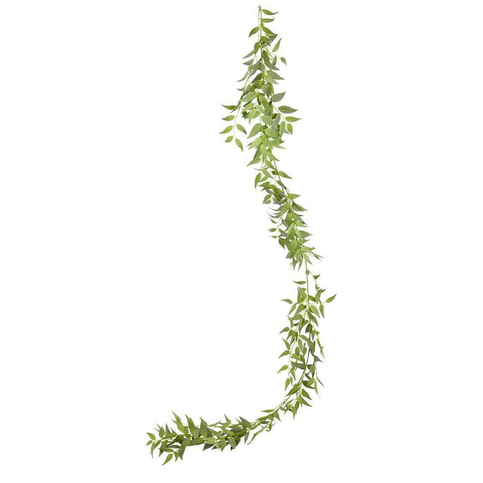 Garland Italian Ruscus 200cm Pack of 6