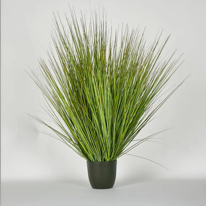 Potted Onion Green Grass 110cm