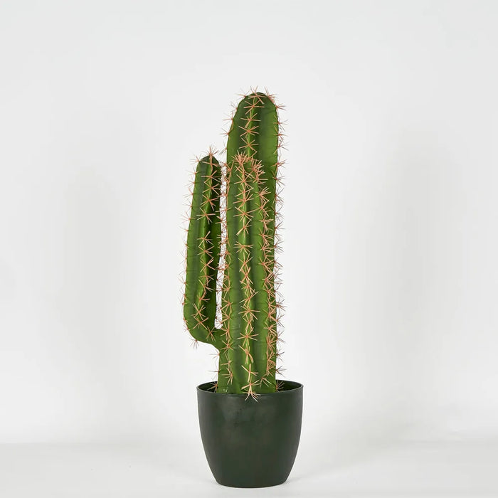 Nevada Desert Green Cactus 69cm