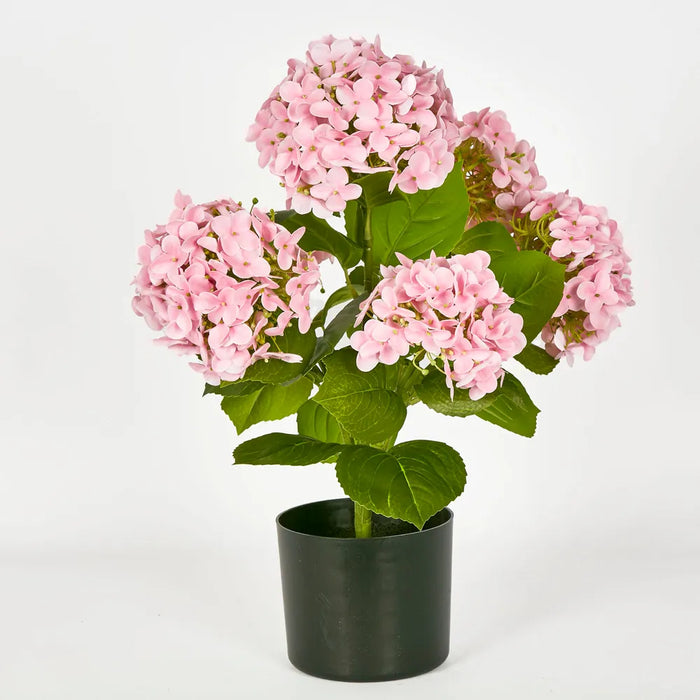 Potted Hydrangea Pink 53cm