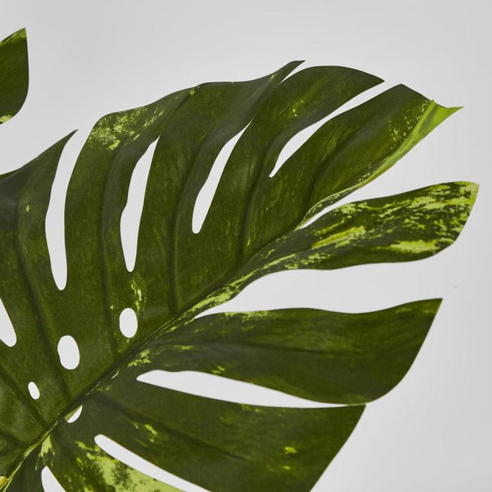 Variegated Real Touch Monstera Green 75cm