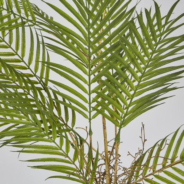 Fern Root Spray Green 94cm Pack of 12