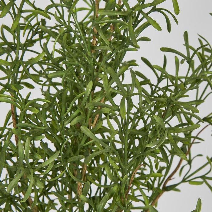 Rosemary Spray Green 56cm Pack of 12
