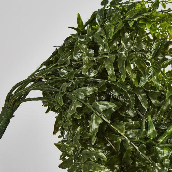 Hanging Bakers Fern Green – Pack of 6