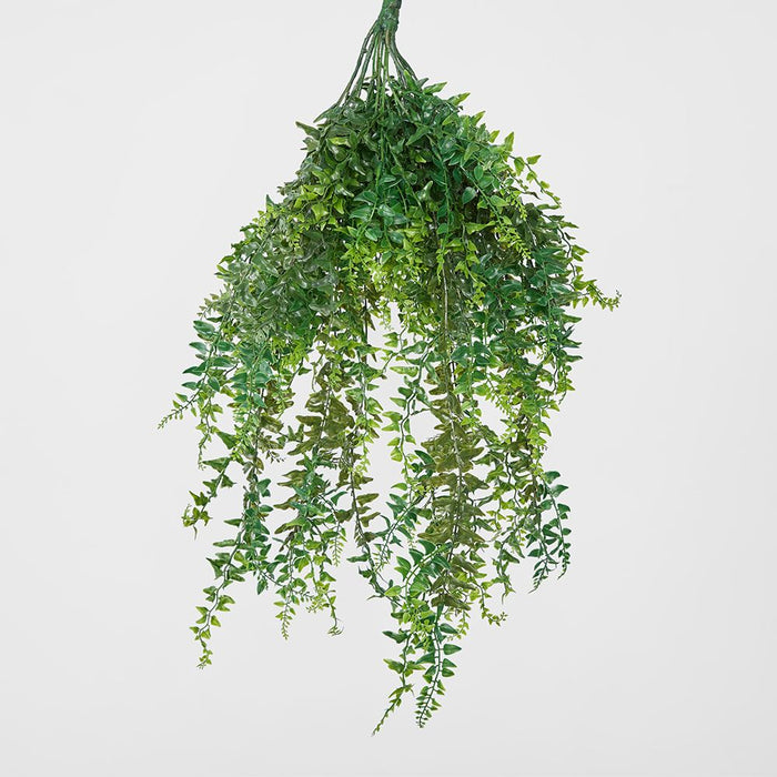 Hanging Bakers Fern Green – Pack of 6