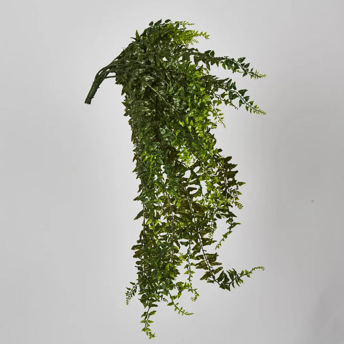 Hanging Bakers Fern Green – Pack of 6